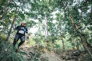 BIB: 
                            <button type="button" onclick="openModal(25979487)" class="btn btn-primary btn-sm float-right btn-popup" data-toggle="modal" data-target=".modal-high-quality">
                        <i class="fas fa-shopping-cart"></i> Add to Cart
                    </button>
                                            <button type="button" onclick="isThisMe(25979487, true)" class="btn btn-success btn-sm float-right btn-popup btn-isme hidden" data-toggle="tooltip" data-placement="bottom" title="นี่คือรูปของคุณใช่ไหม คลิกที่นี่เพื่อเอาเข้าอัลบั้ม">
                        <i class="fas fa-plus"></i> Add to album
                    </button>
                    <button type="button" onclick="isThisMe(25979487, false)" class="btn btn-warning btn-sm float-right btn-popup btn-isnotme hidden">
                        <i class="fas fa-ban"></i> Remove from album
                    </button>